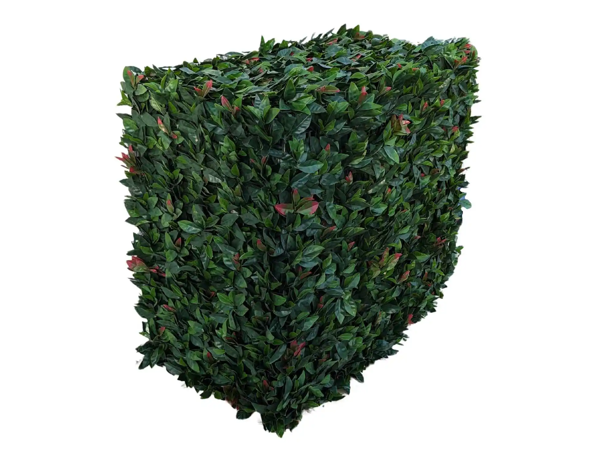 Cache Clim Vegetal